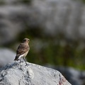 58 fotos 1809_1019.jpg