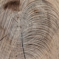 58 fotos 1804_0133.jpg