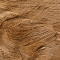 58 fotoğraf 1804_0096.jpg