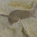 58 slik 1808_0489.jpg