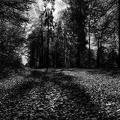 1710_2050.jpg