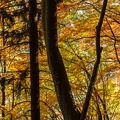 1710_1772.jpg