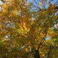 1710_1781.jpg