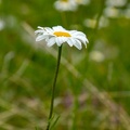 1706_0410.jpg