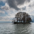 91 photos 1704_9996.jpg