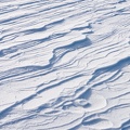 1701_8946.jpg