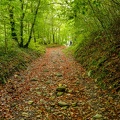 1610_8588.jpg