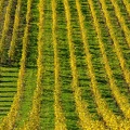1610_8751.jpg
