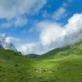47 fotos 1607_Panorama_4_Bex.jpg
