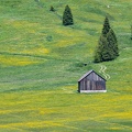 22 imagens 1906_4059.jpg
