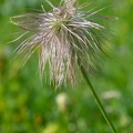 31 fotos 1907_4116.jpg