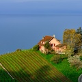 86 fotos 1304_0243.jpg