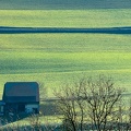 1301_1066.jpg