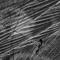 1004_2971.jpg