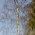 1912_0606.jpg