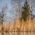 1912_0609.jpg