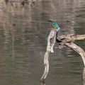 2003_5724.jpg
