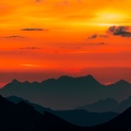 2007_7291.jpg