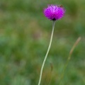 54 photos 2007_1007.jpg