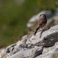 54 photos 2009_8102.jpg