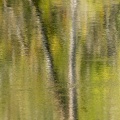 2010_8502.jpg