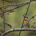 54 fotos 2010_8548.jpg