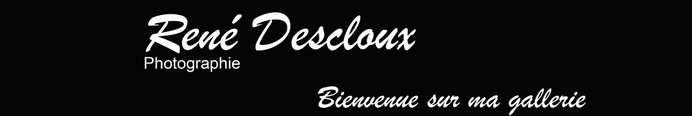 Titre site internet_4.jpg