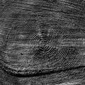 2204_4316.jpg