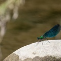 2207_5780.jpg