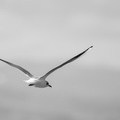 2402_4055.jpg