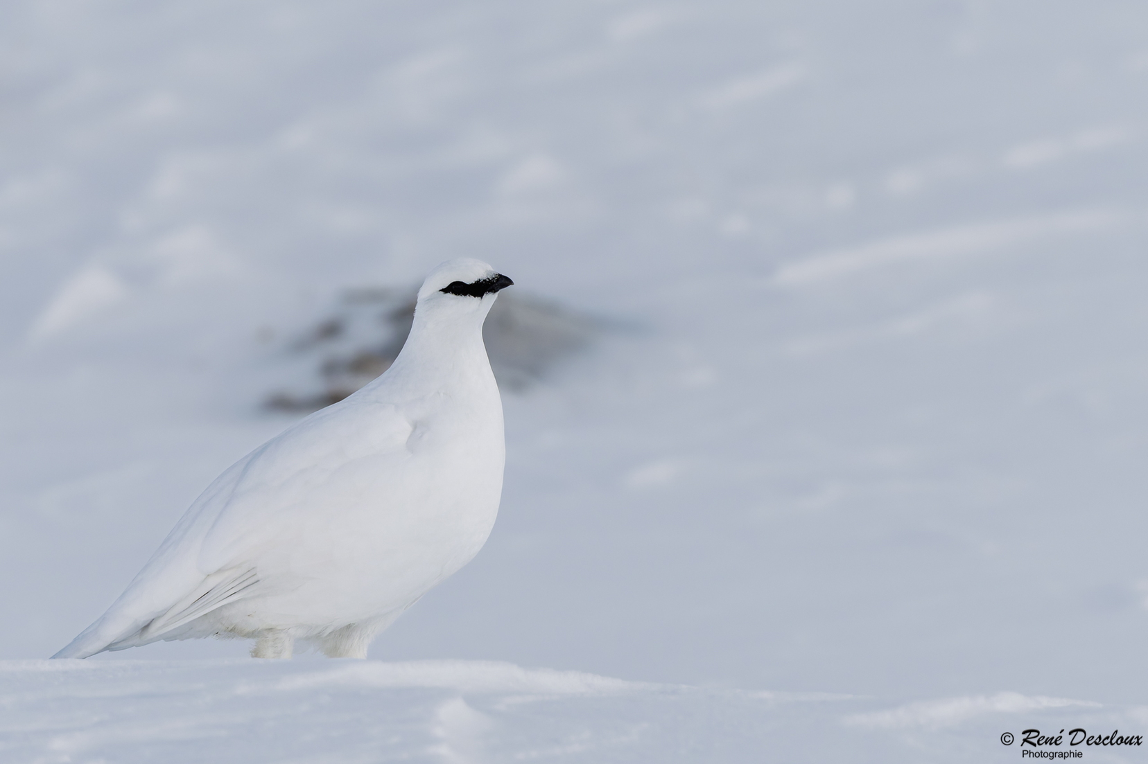 2601 1982 (просмотров: 160) 2601 1982