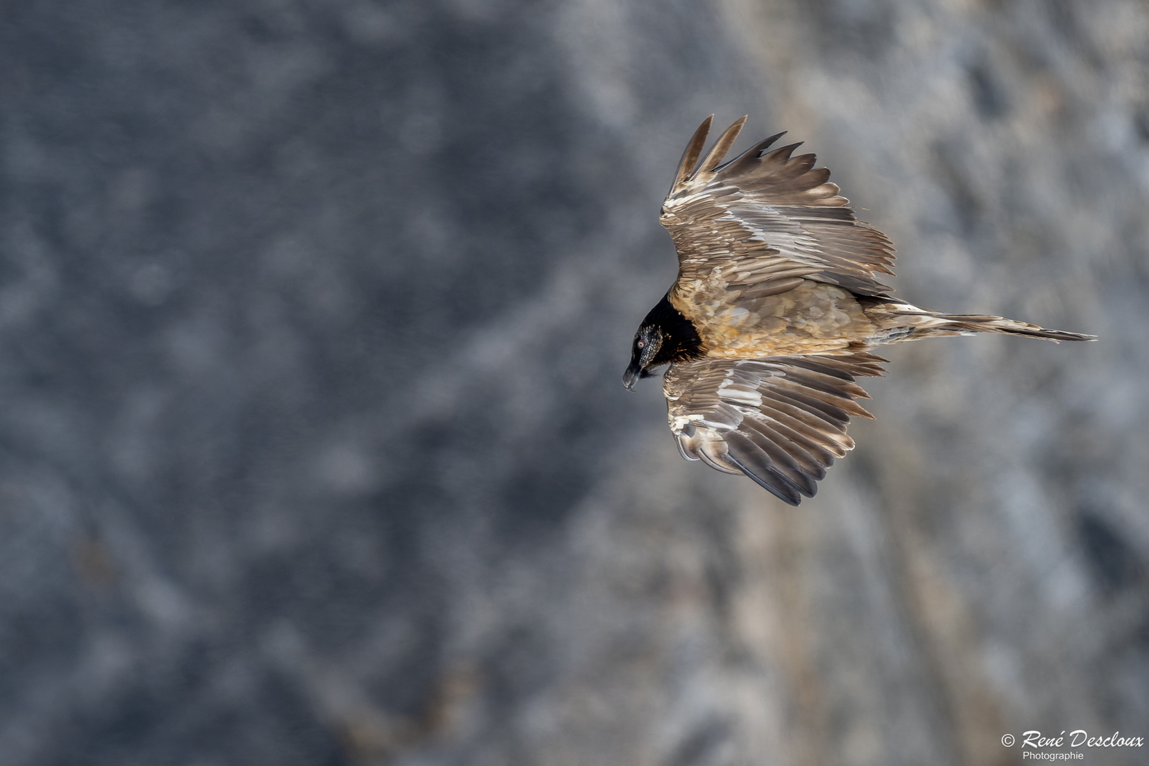 2603 5899 (209 bisita) 2603 5899