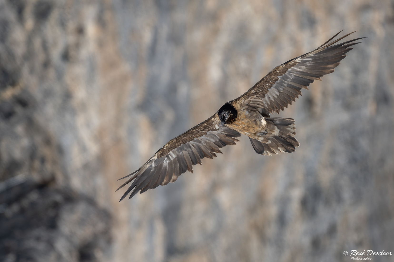 2603 5978 (200 bisita) 2603 5978