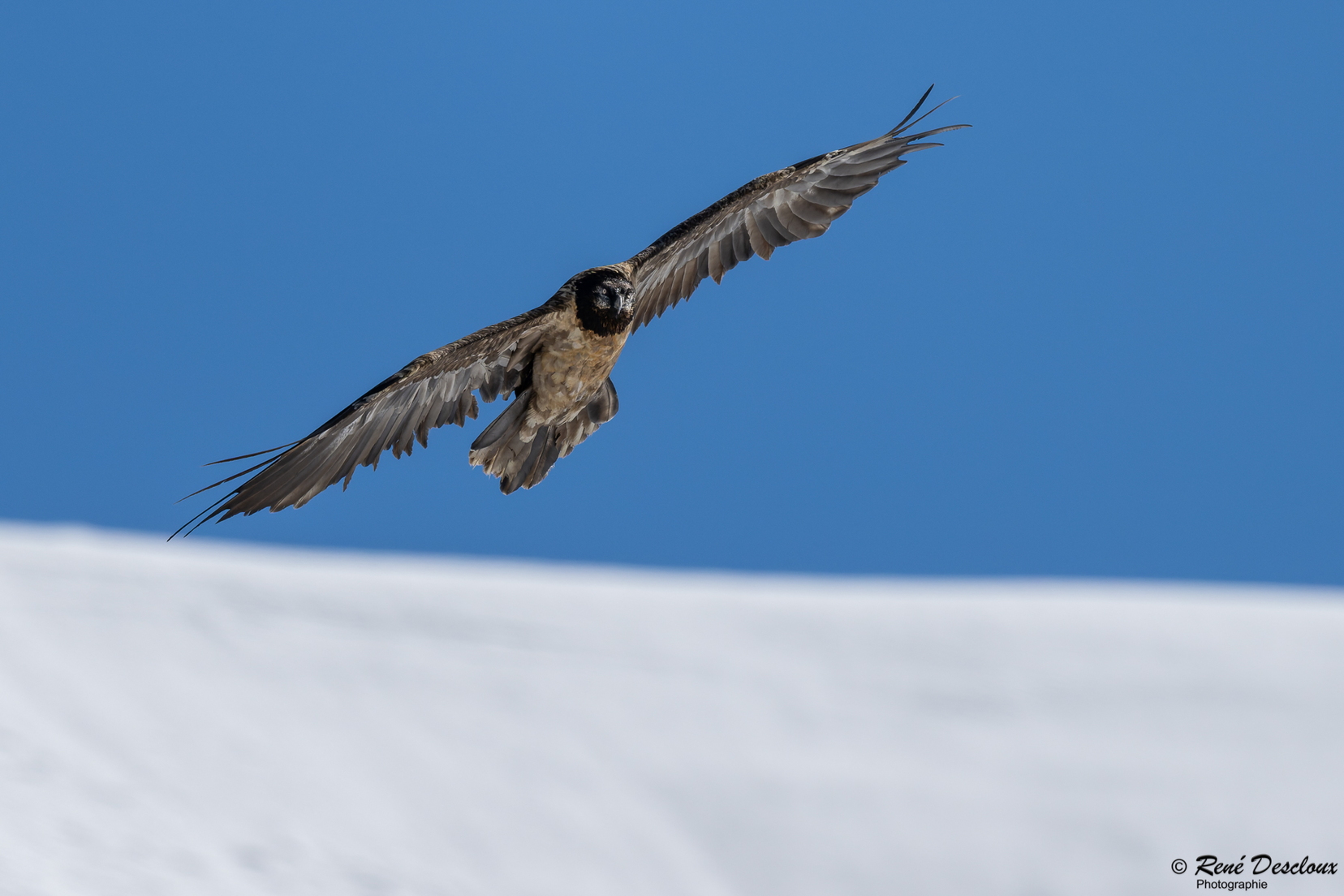 2603 5926 (198 bisita) 2603 5926