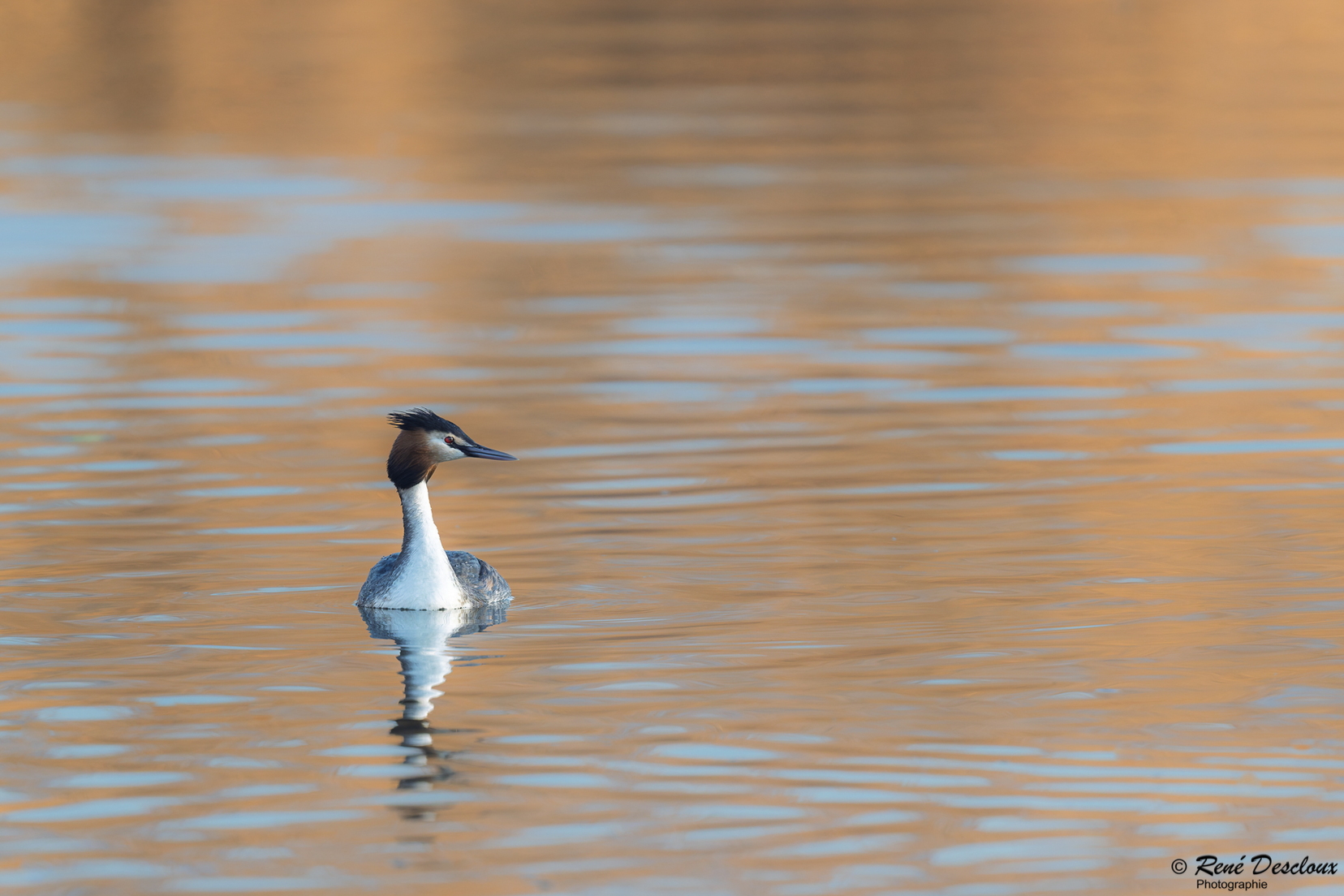 2603 5215 (172 bisita) 2603 5215