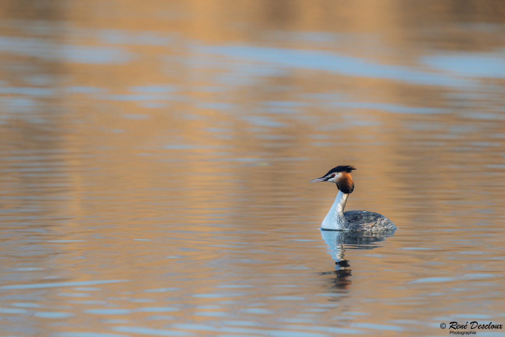 2603 5219 (168 bisita) 2603 5219