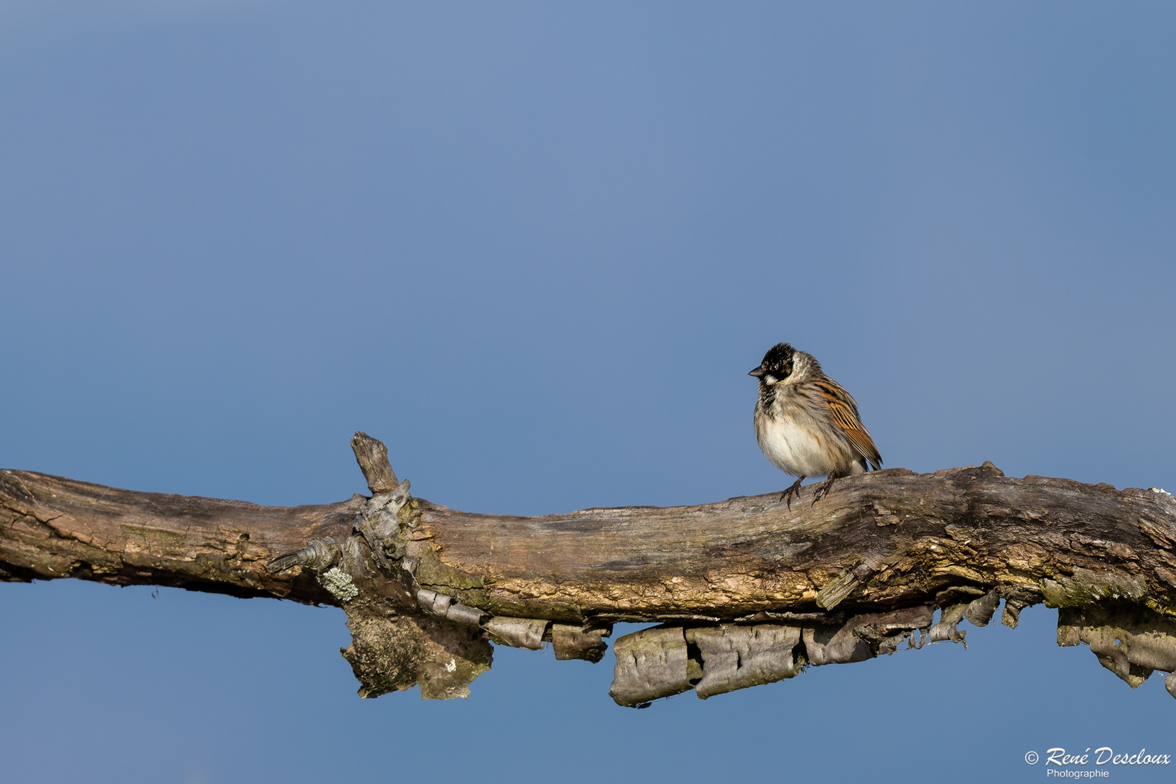 2603 5317 (177 bisita) 2603 5317