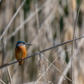 2605_0988.jpg