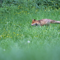 2605_4567.jpg