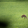2606_5644.jpg