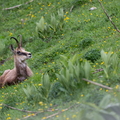 2606_6565.jpg