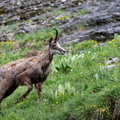 2606_6575.jpg