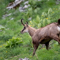 2606_6590.jpg