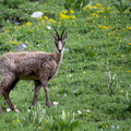 2606_6679.jpg