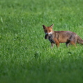 2606_7456.jpg