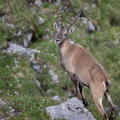 2607_8401.jpg