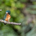 2609_0087.jpg