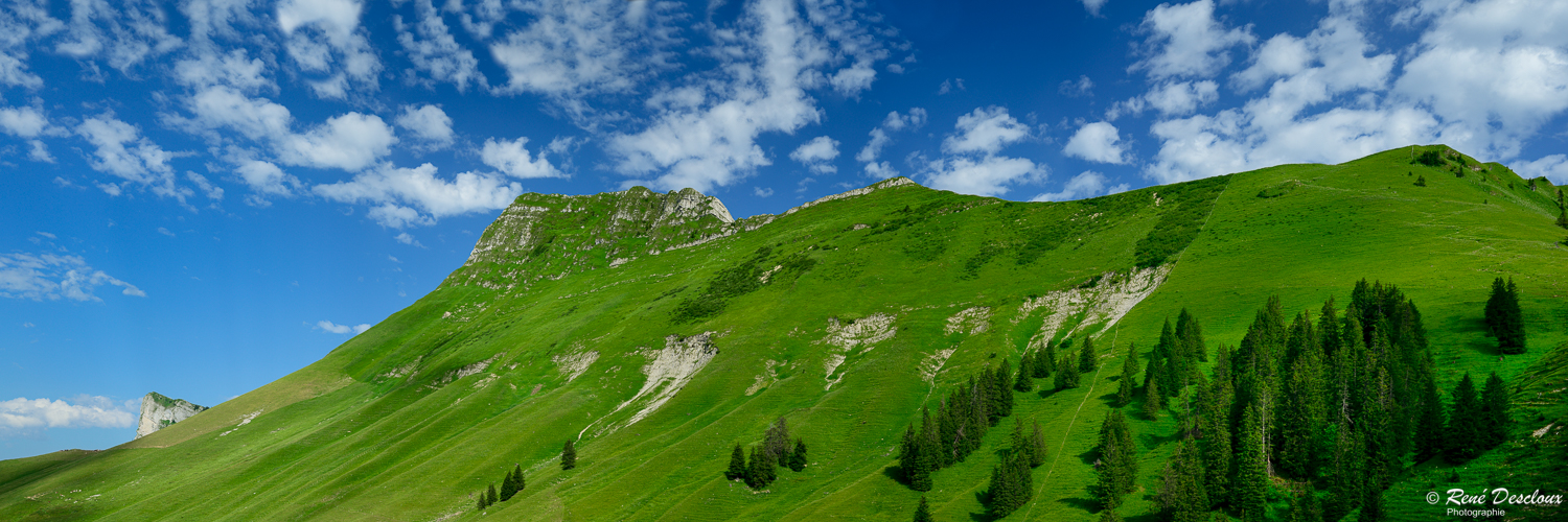 1307 Dent-de-Lys